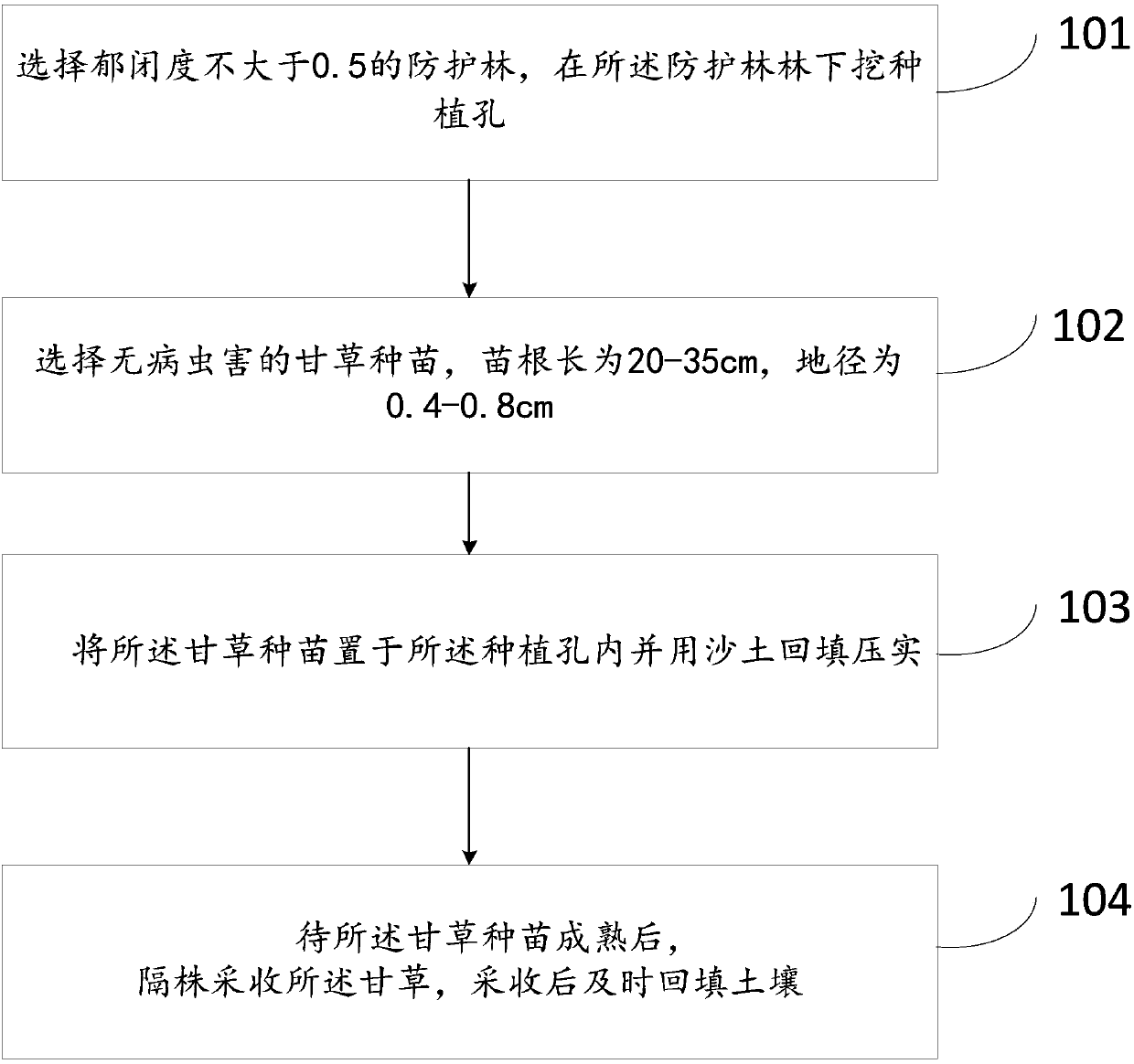 Method for interplanting glycyrrhiza under afforestation in protection forest