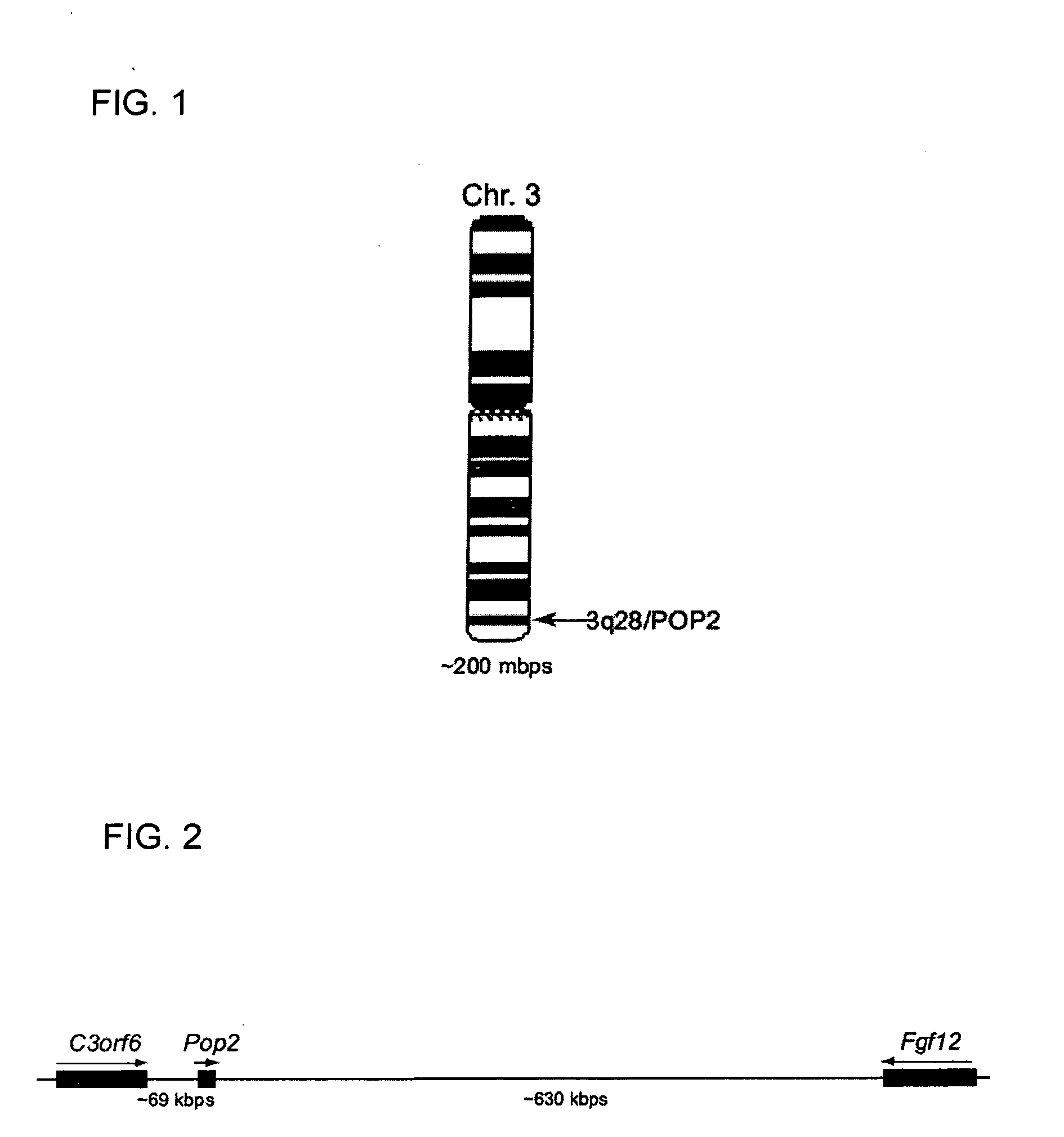 POP2: NFkB - Inhibiting Polypeptides, Nucleic Acids and Methods of Use