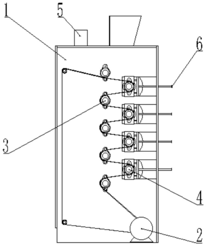 Walnut cleaning equipment