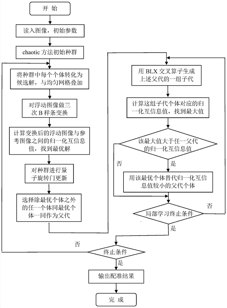 Medical image registration method based on cross hill-climbing memetic quantum evolutionary computation