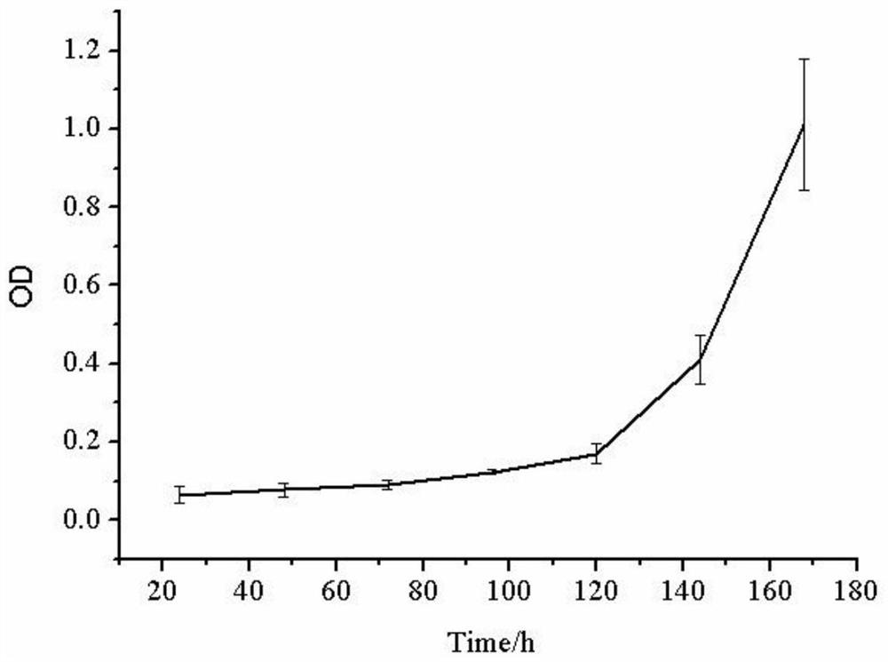 Osteosarcoma pulmonary metastasis primary cell strain and culture method and application thereof