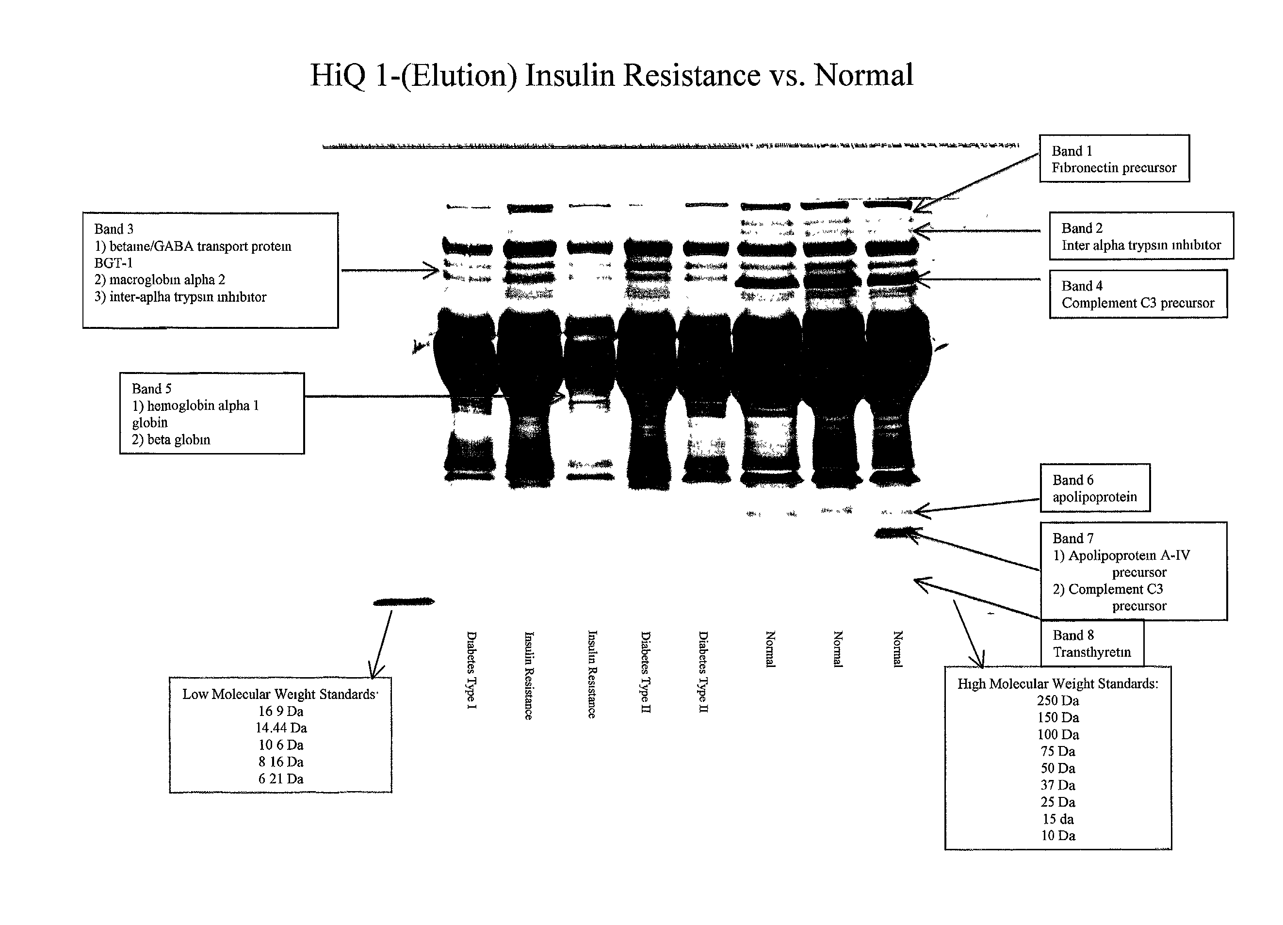 Fibronectin biopolymer marker indicative of insulin resistance