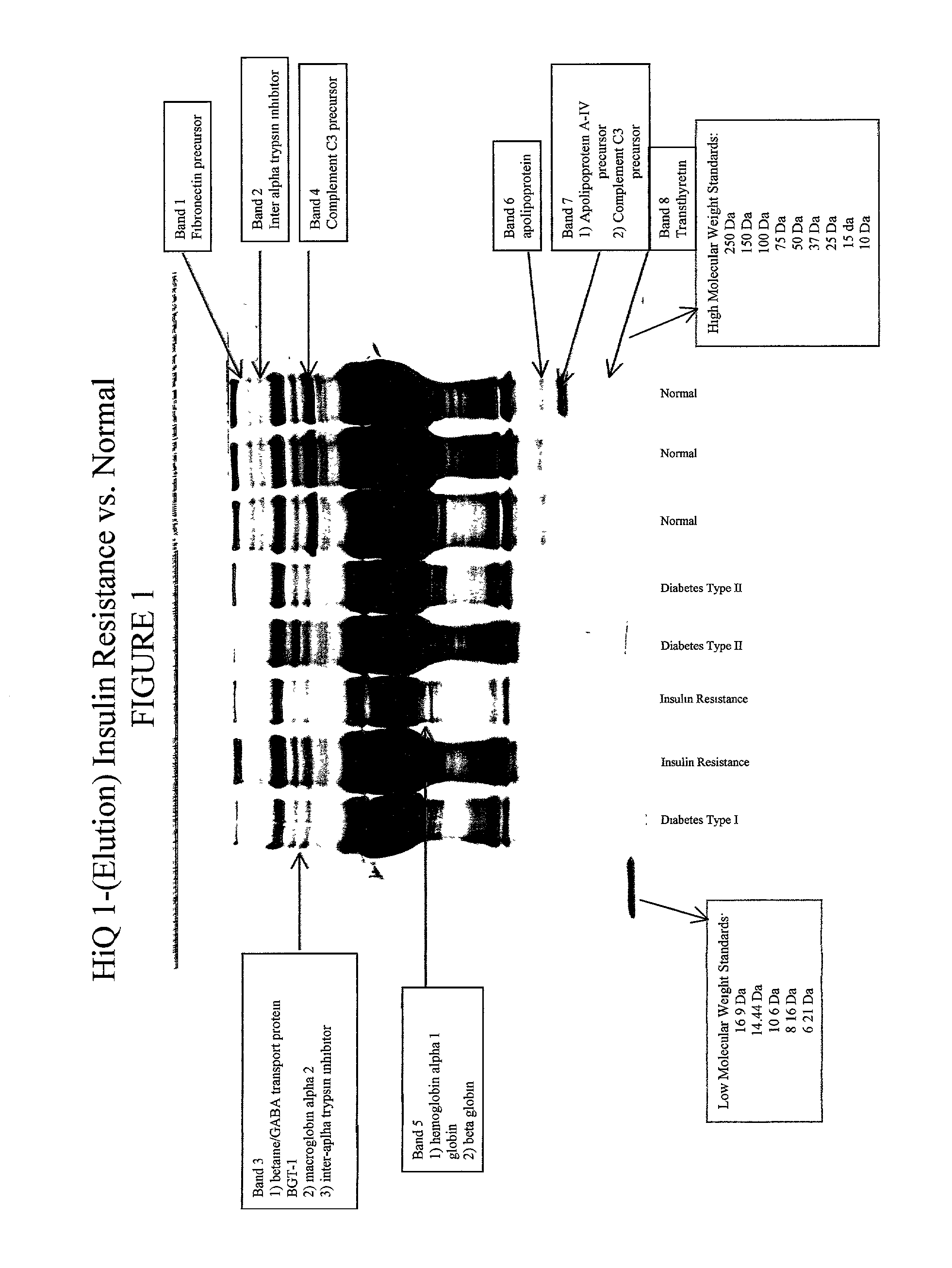 Fibronectin biopolymer marker indicative of insulin resistance