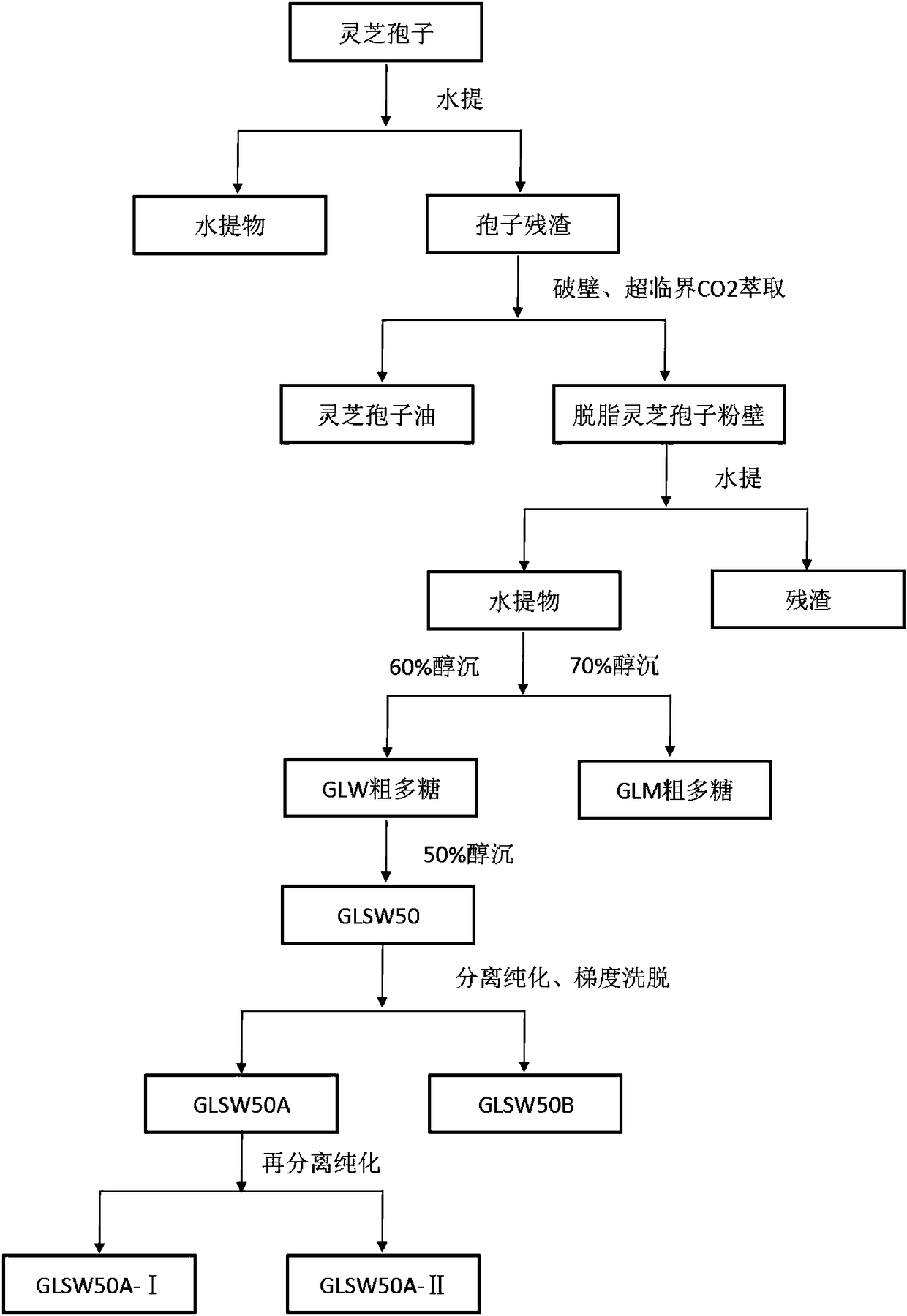 Ganoderma lucidum spore powder wall polysaccharide and extraction method thereof