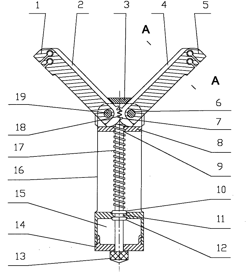 Foldable catapult