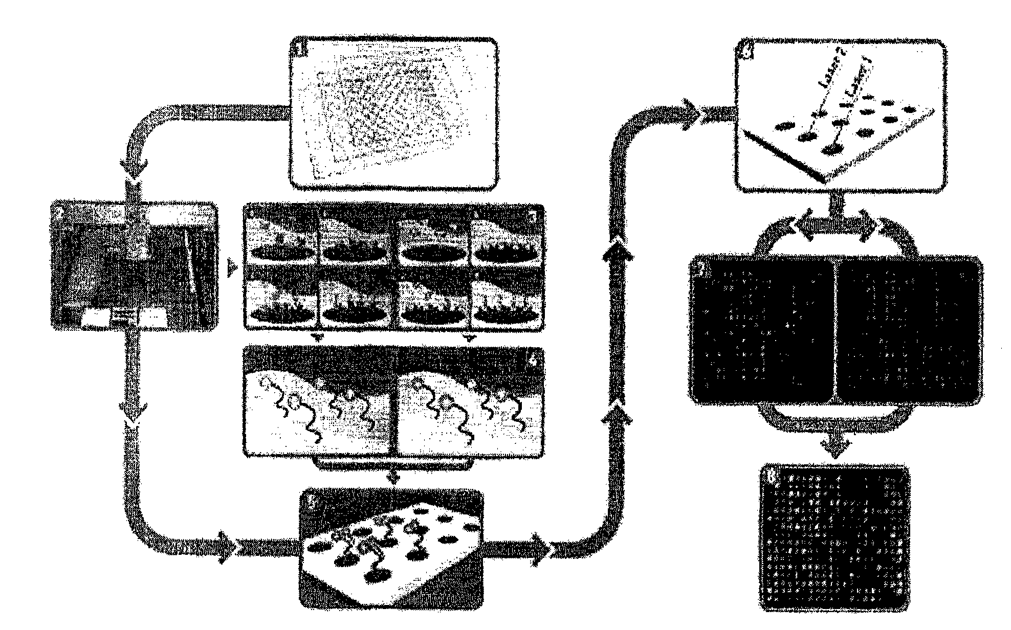 Nucleic acid chip for obtaining bind profile of single strand nucleic acid and unknown biomolecule, manufacturing method thereof and analysis method of unknown biomolecule using nucleic acid chip