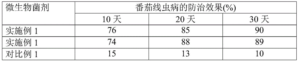 Brevibacterium frigoritolerans as well as microbial inoculant and application of brevibacterium frigoritolerans and microbial inoculant