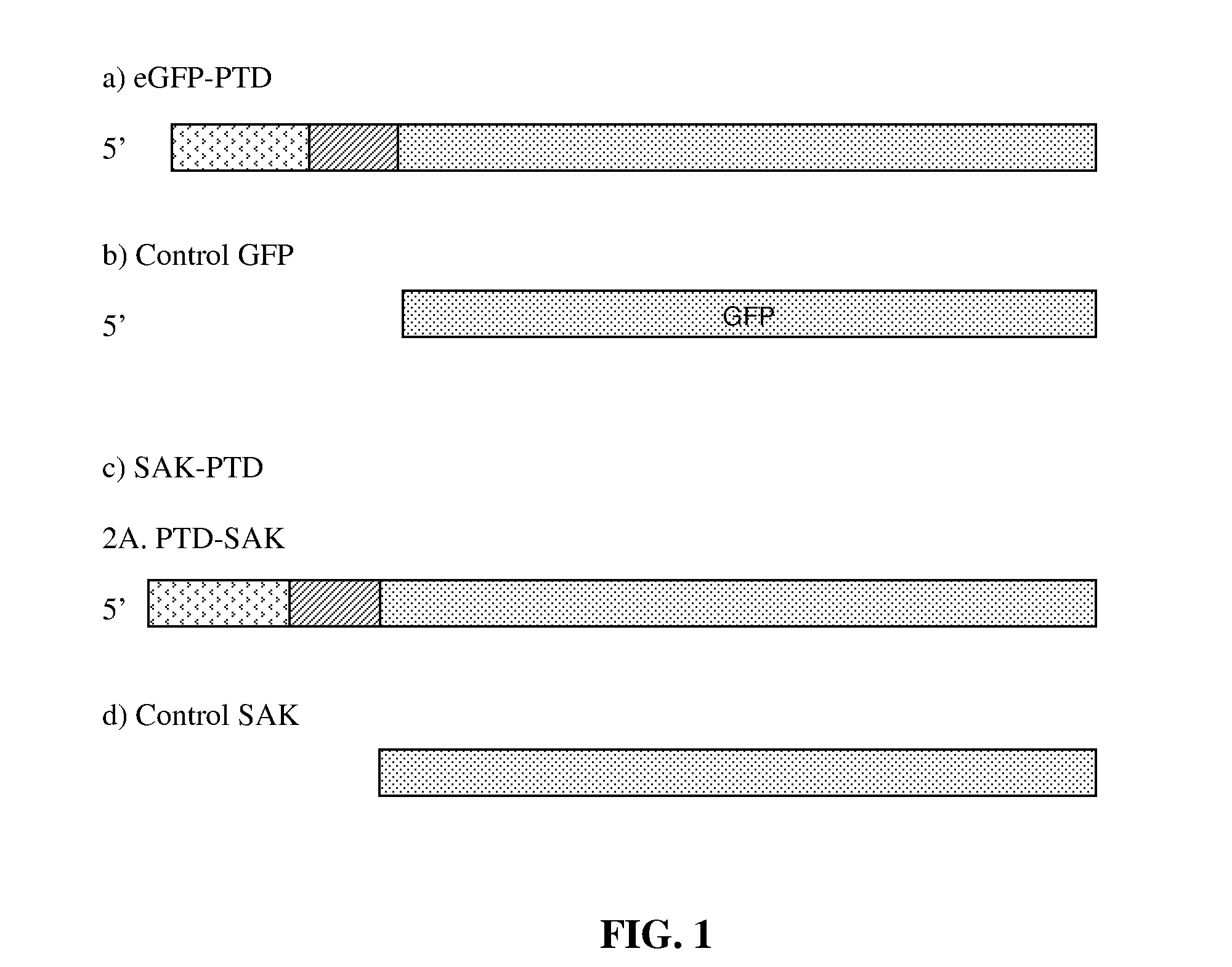 Novel thrombolytic molecules and a process therefor