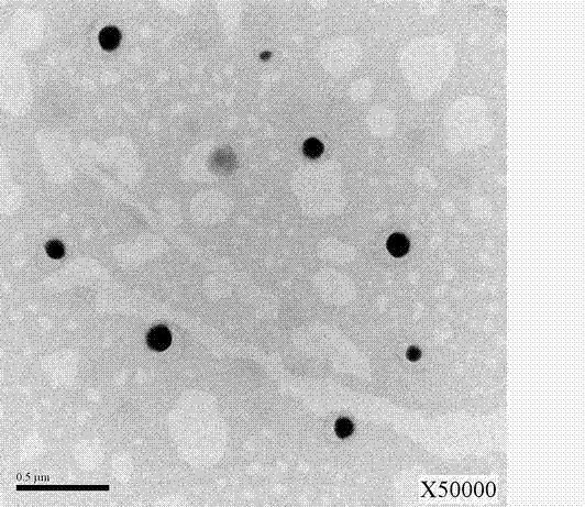 Compound chlorhexidine acetate microemulsion disinfectant and its preparation method