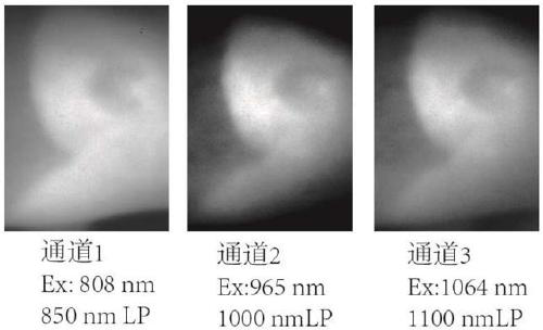 Near-infrared window II emission type fluorescent dye as well as preparation method and application thereof