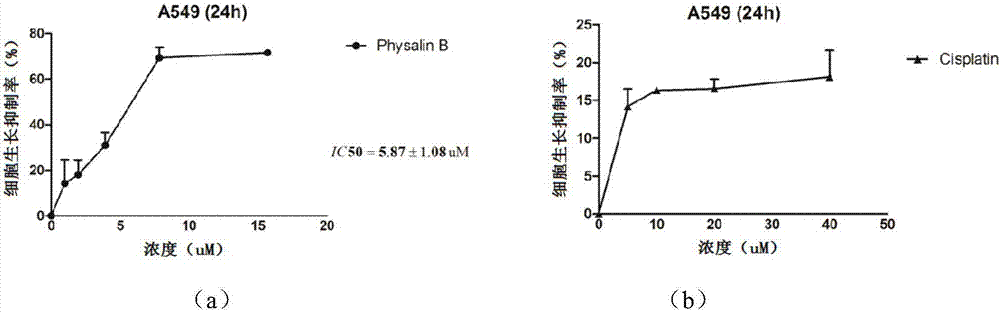 Preparation method for physalin B and application thereof in anti-lung tumor drug