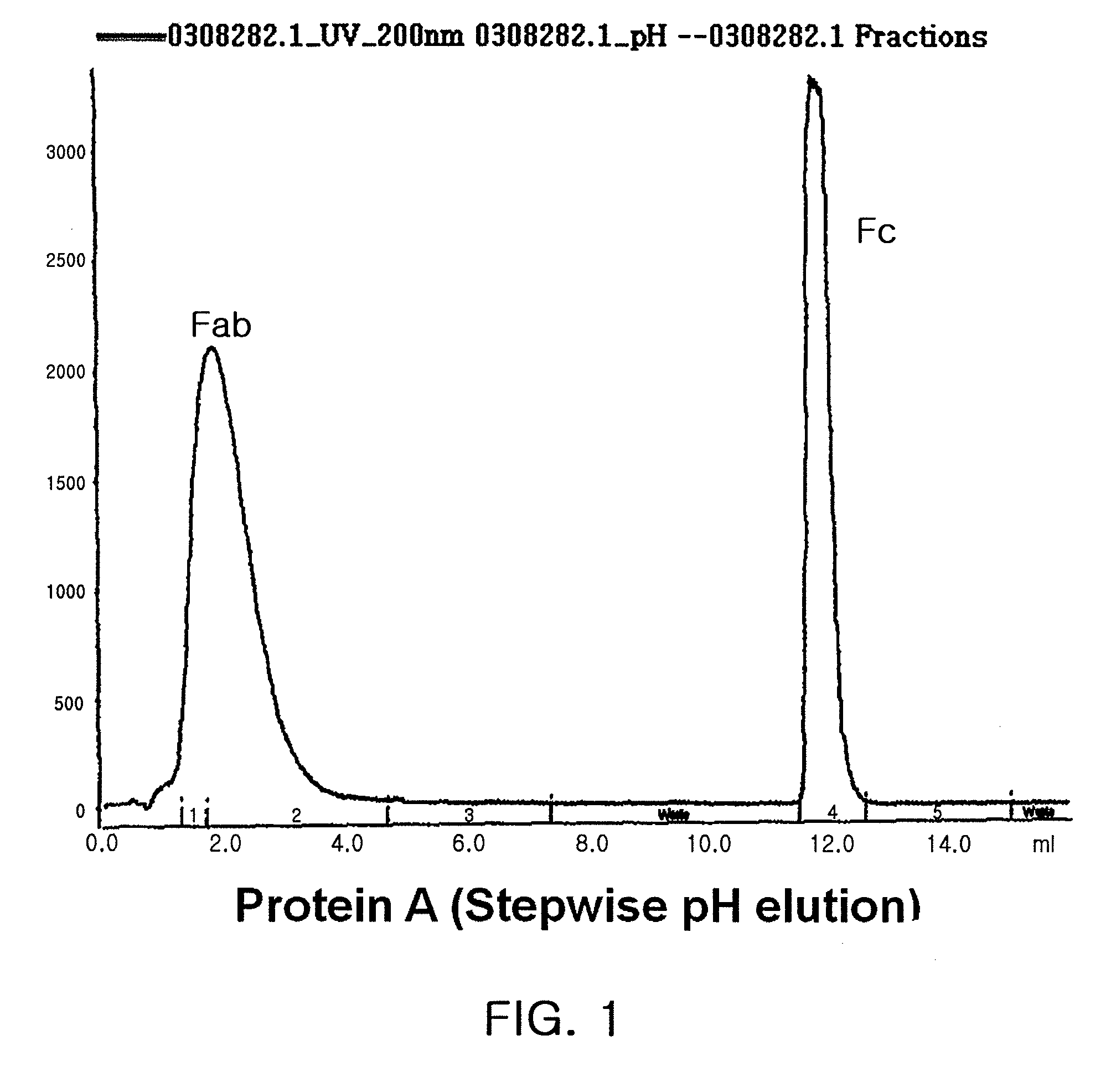 Pharmaceutical Composition Comprising An Immunoglobulin FC Region as a Carrier