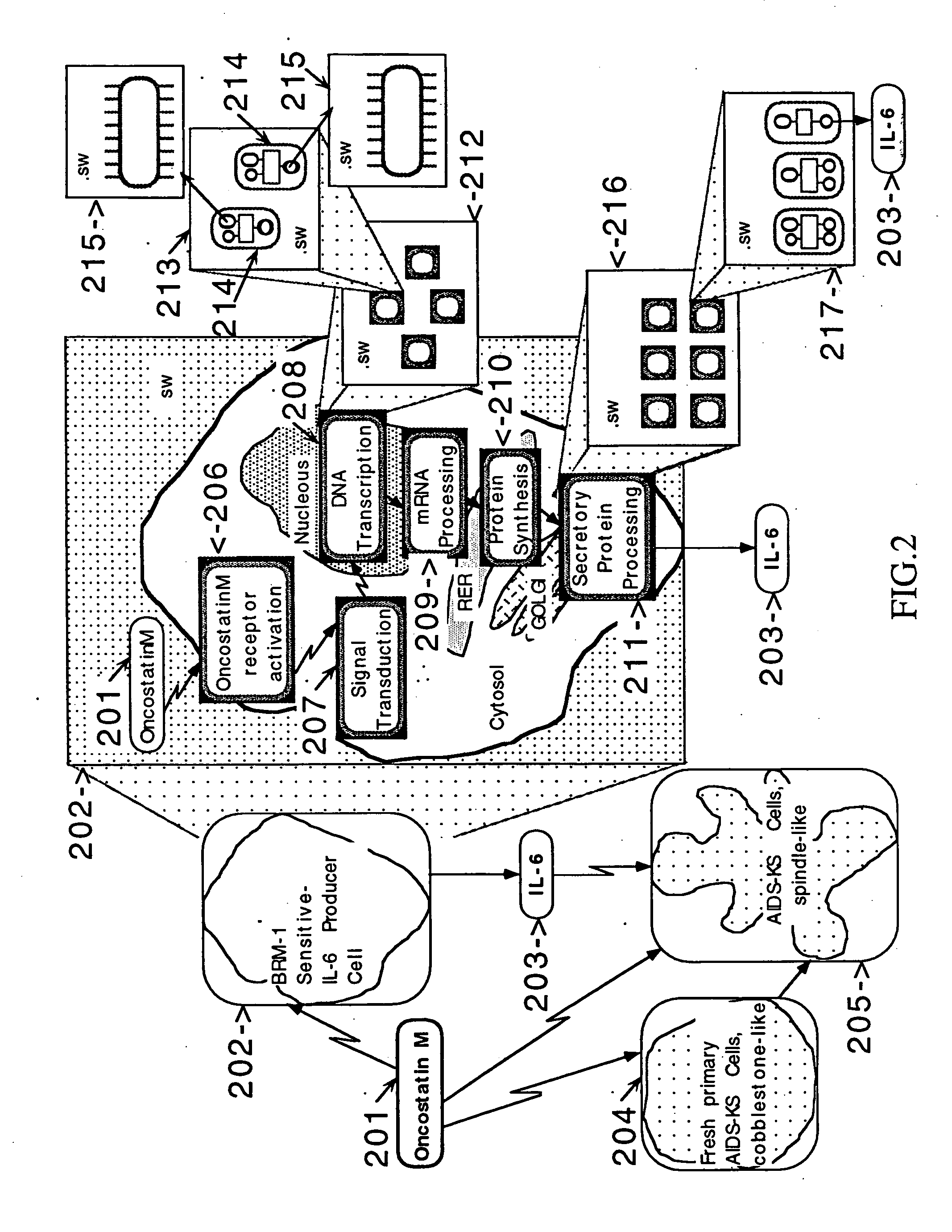 Network models of biological complex systems