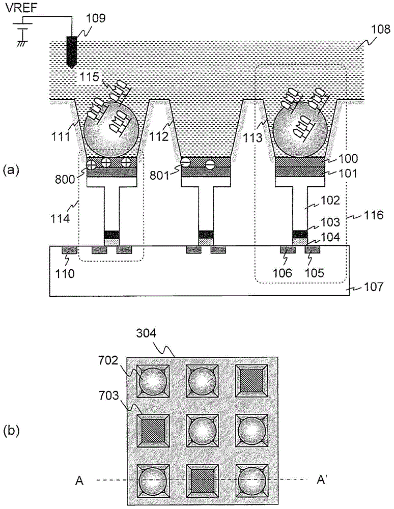 Biomolecule measuring device