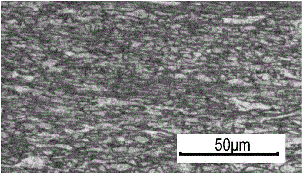 Cu-Fe alloy wire and preparing method thereof