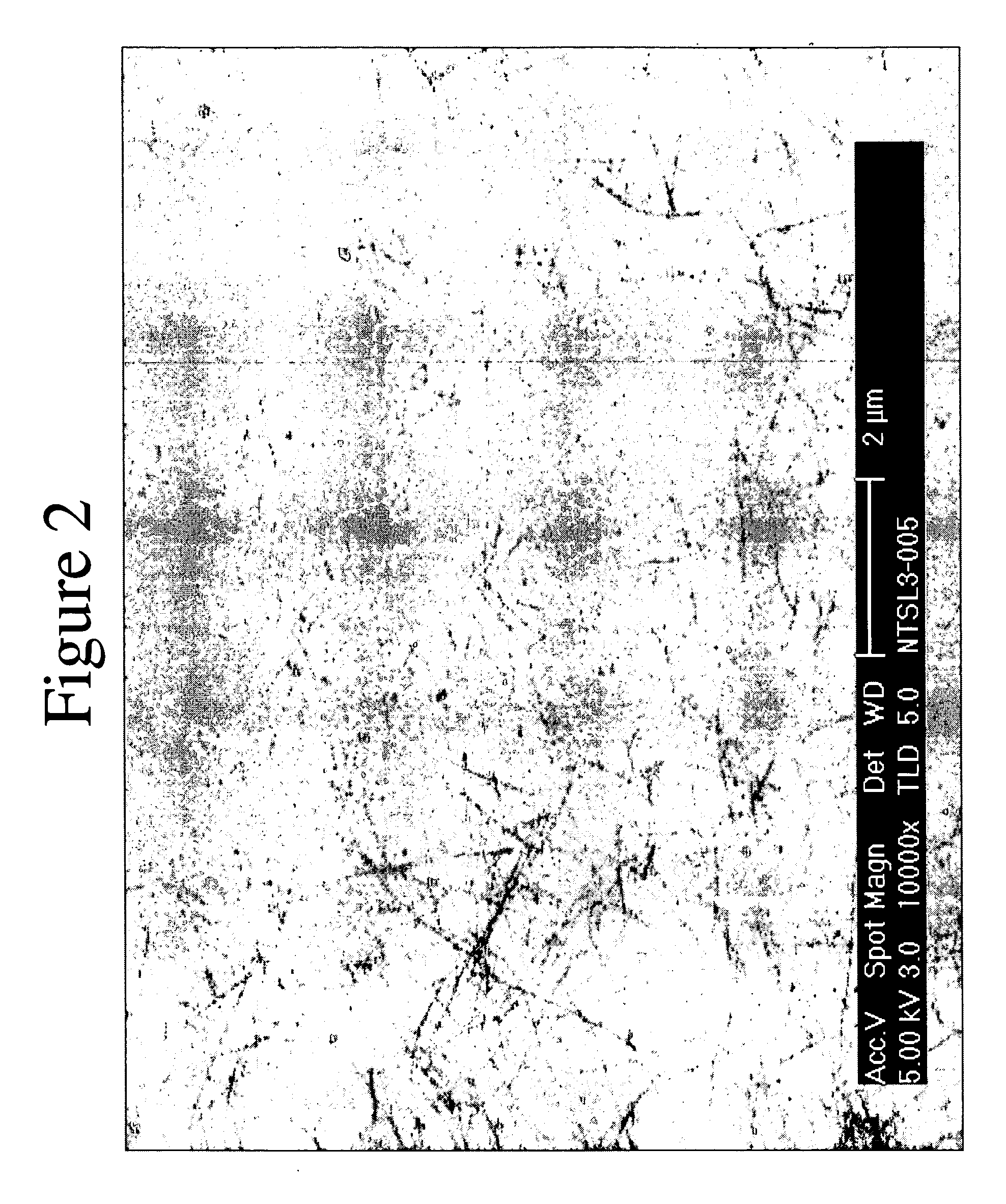 Applicator liquid containing ethyl lactate for preparation of nanotube films