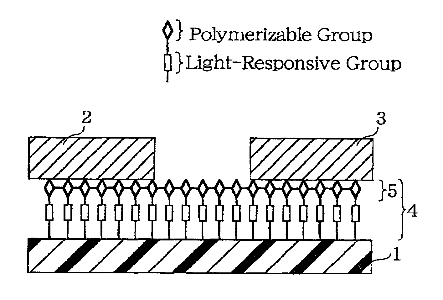 Display device with organic conductive thin film having conductive network