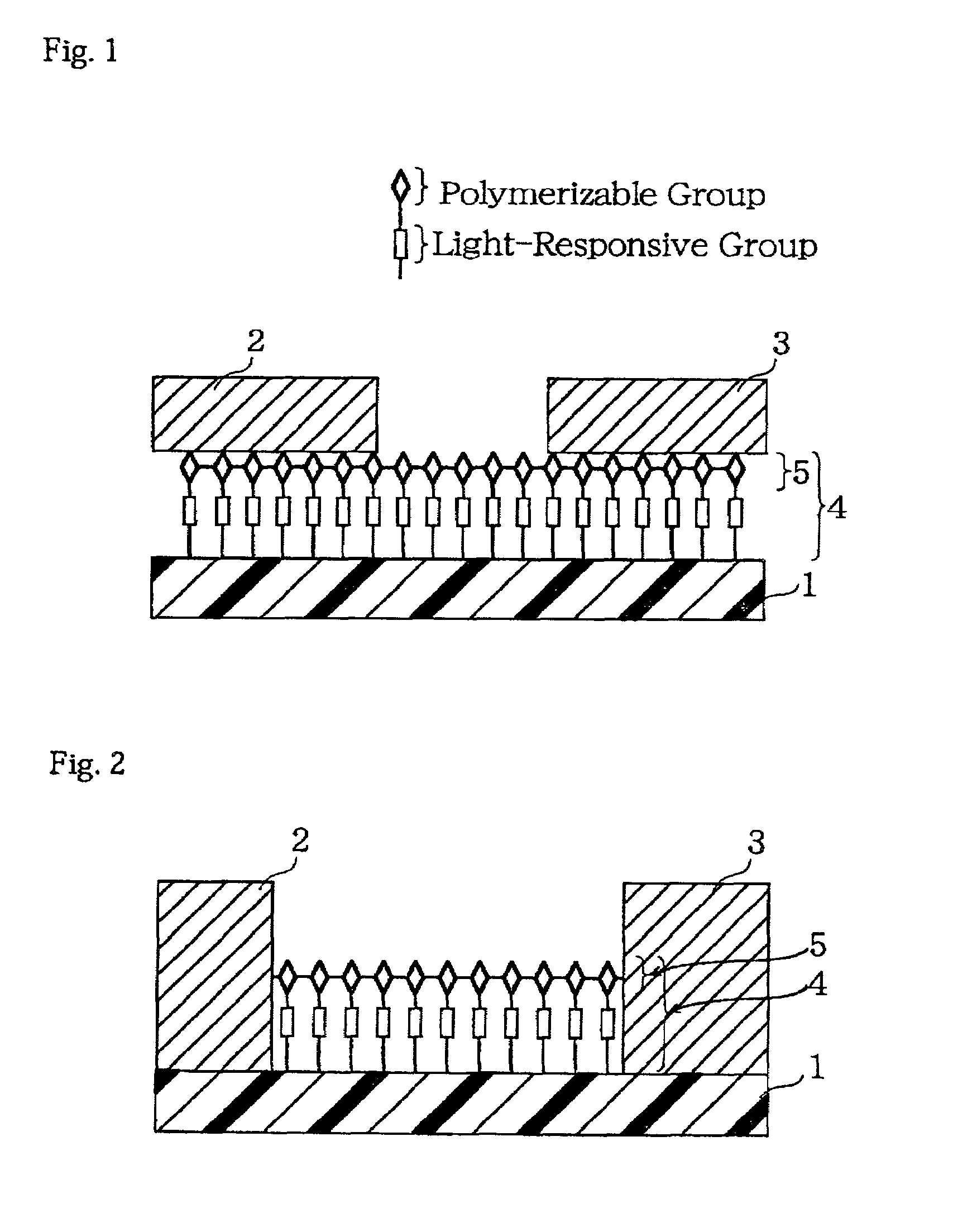 Display device with organic conductive thin film having conductive network