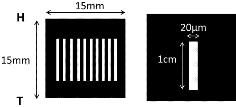 A single neuron culture mold for studying pressure gradient damage and its preparation method and application