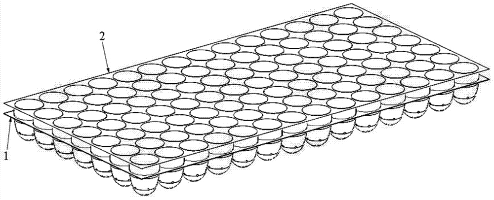 A kind of seedling raising tray and sowing method thereof