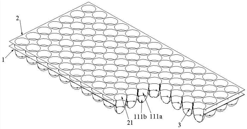 A kind of seedling raising tray and sowing method thereof