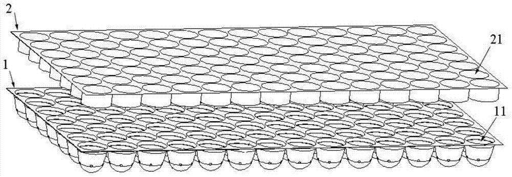 A kind of seedling raising tray and sowing method thereof