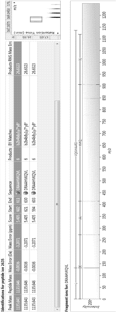 Bioactive peptide DRAAHVKQVL as well as preparation method and application thereof