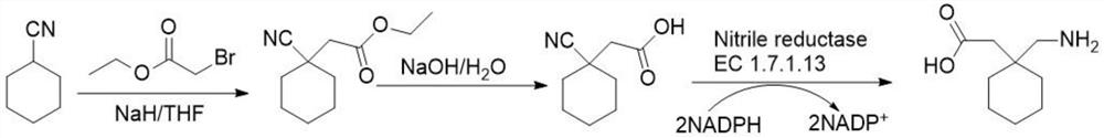 Preparation method of cyano reductase and gabapentin