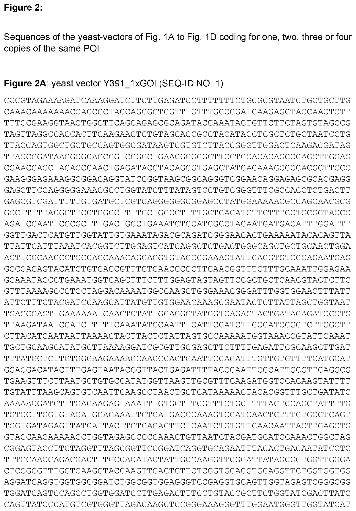 Multi-Copy Gene Protein Expression System