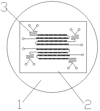 Fixing device for super-resolution imaging of red blood cell and use method