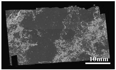 Rapid identification and quantitative detection method for niobium-rich minerals