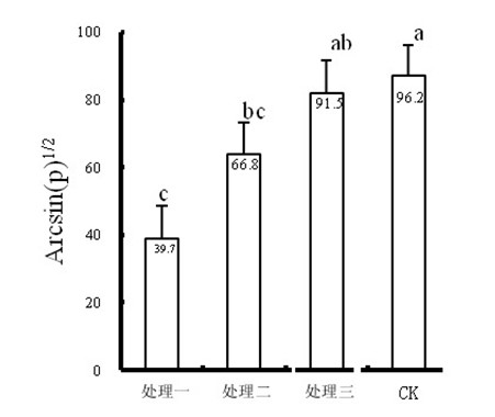 Microorganism compound bactericide for controlling cucumber fusarium wilt and preparation method thereof