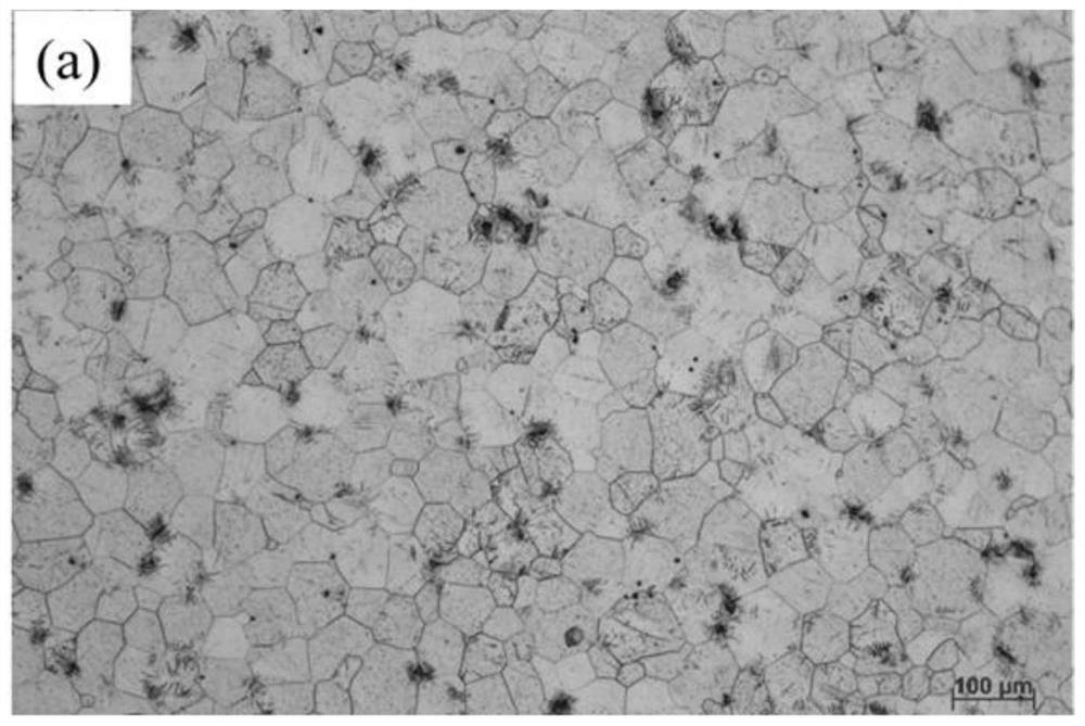 A Grain Refinement Method for Large Size Semi-continuous Casting Magnesium Alloy Ingots