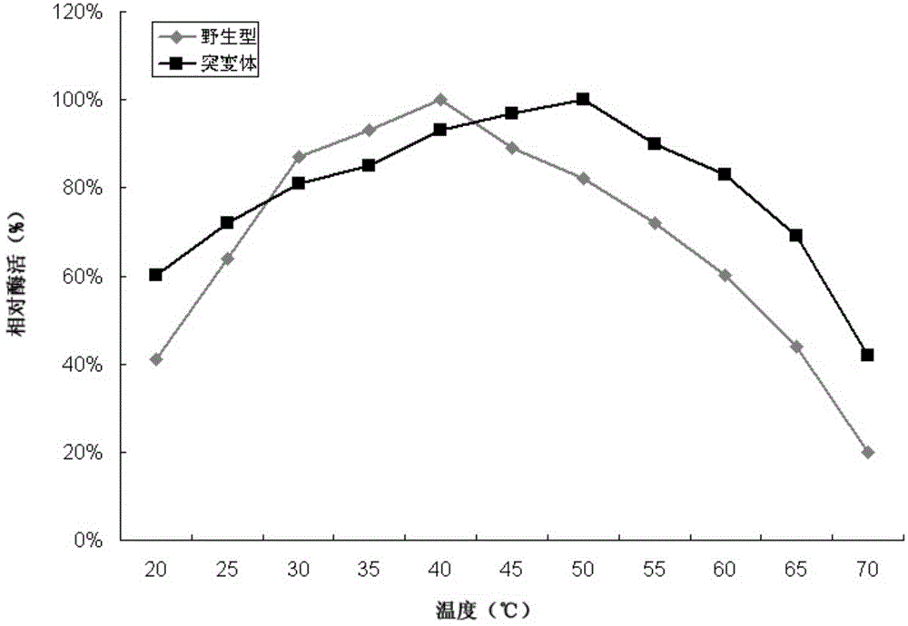 Beta-glucosidase mutant and application thereof