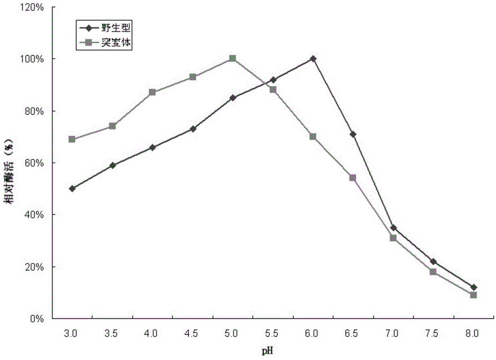 Beta-glucosidase mutant and application thereof