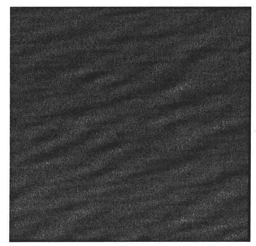 Rapid sea wave simulation method based on Chirp Z transform