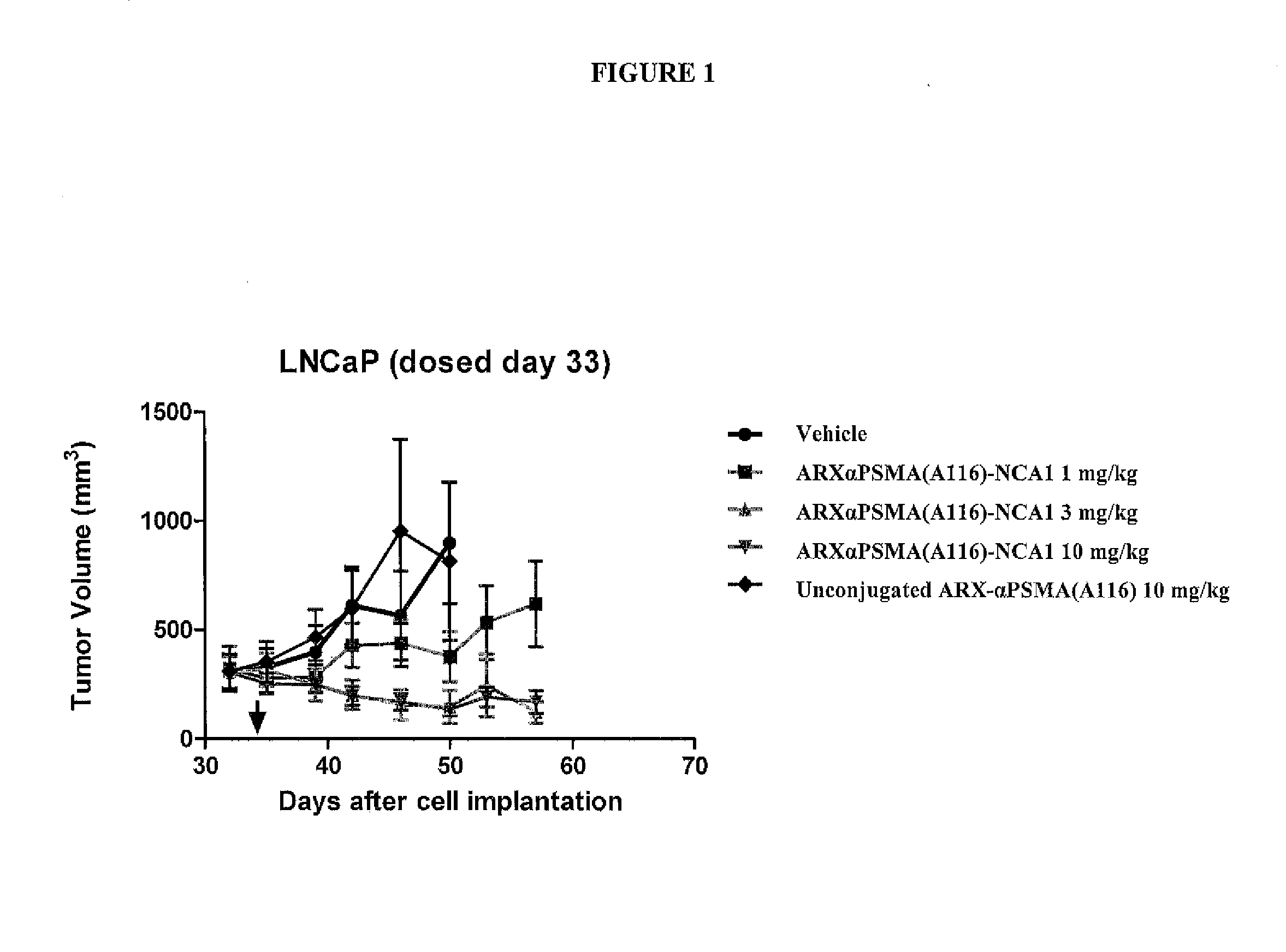 Prostate-Specific Membrane Antigen Antibody Drug Conjugates