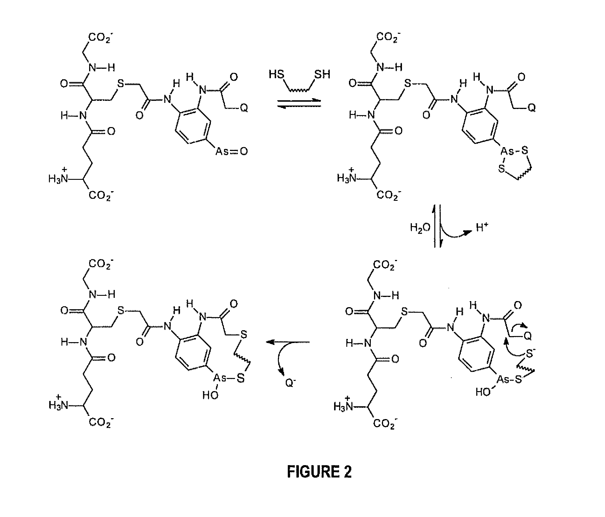 A Substantially Cell Membrane Impermeable Compound And Use Thereof