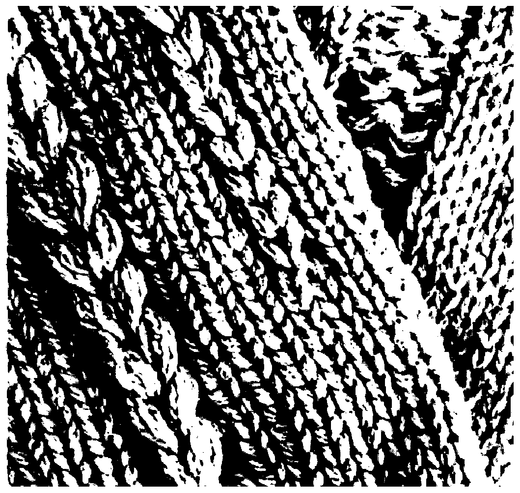 Loop combining mechanism and method based on five-position jacquard circular weft knitting machine