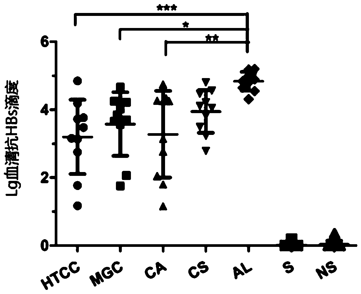 Immune adjuvant and application thereof