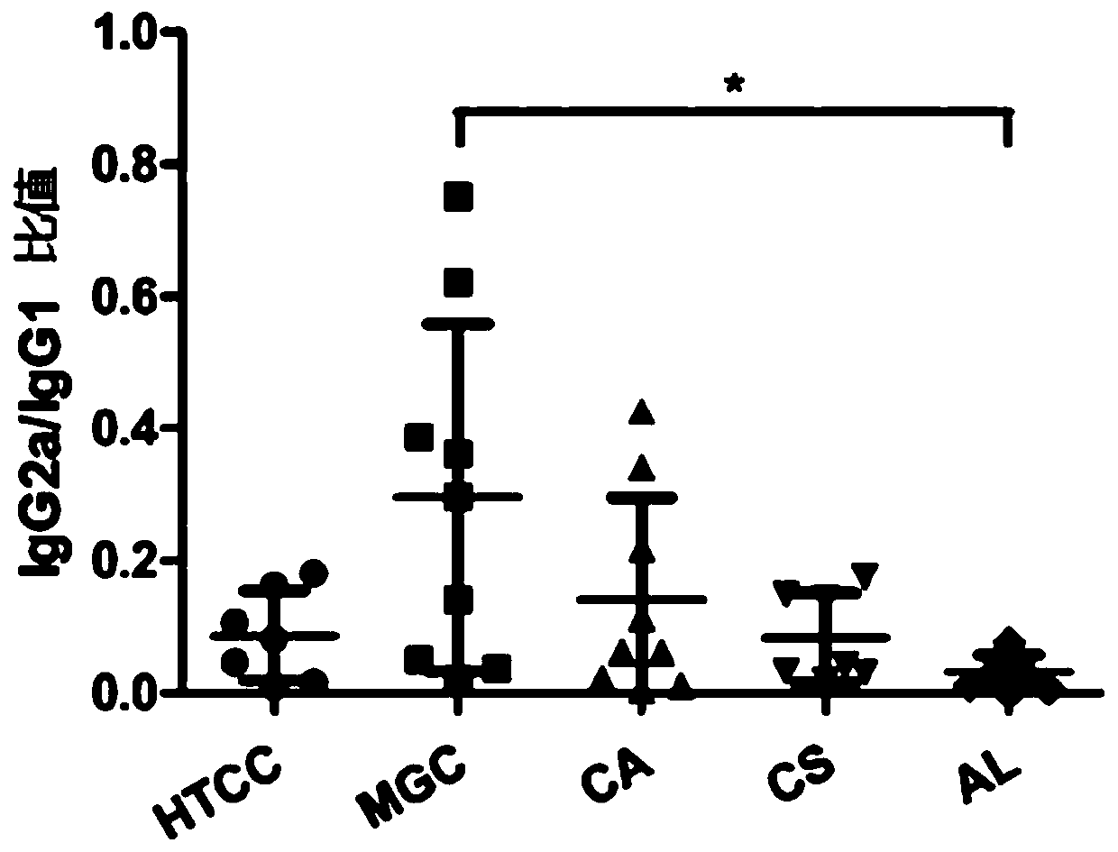 Immune adjuvant and application thereof