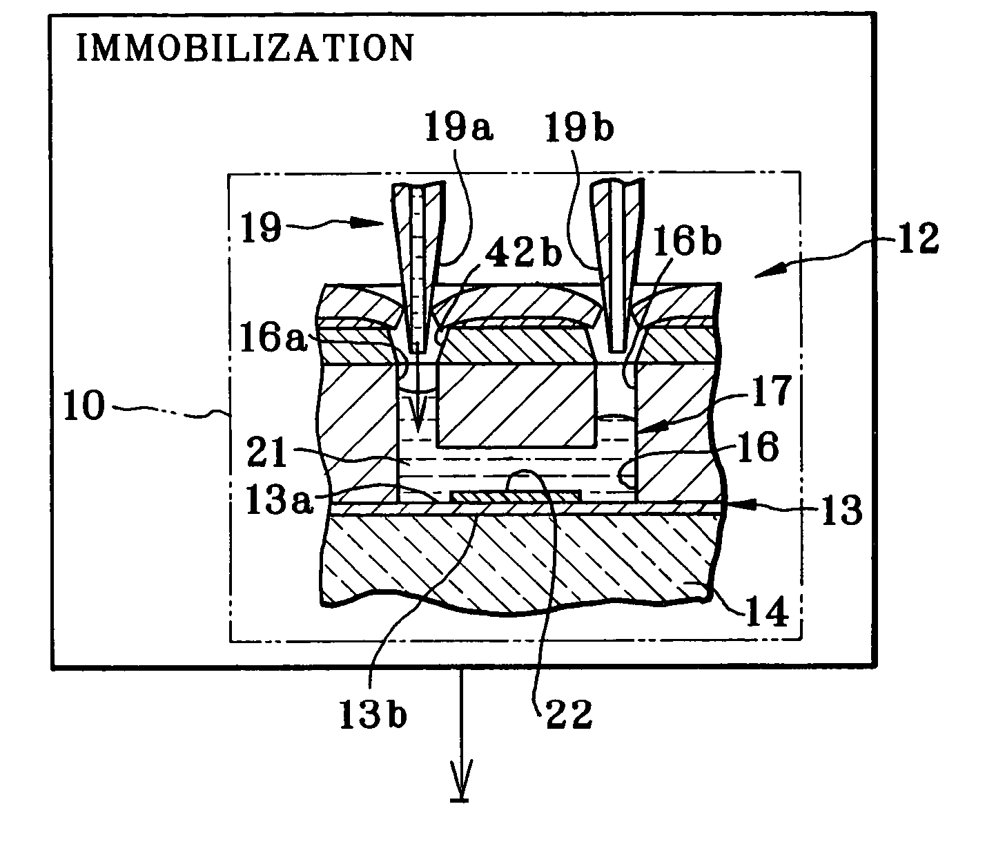 Method and apparatus for assay in utilizing attenuated total reflection, and sample immobilizing device