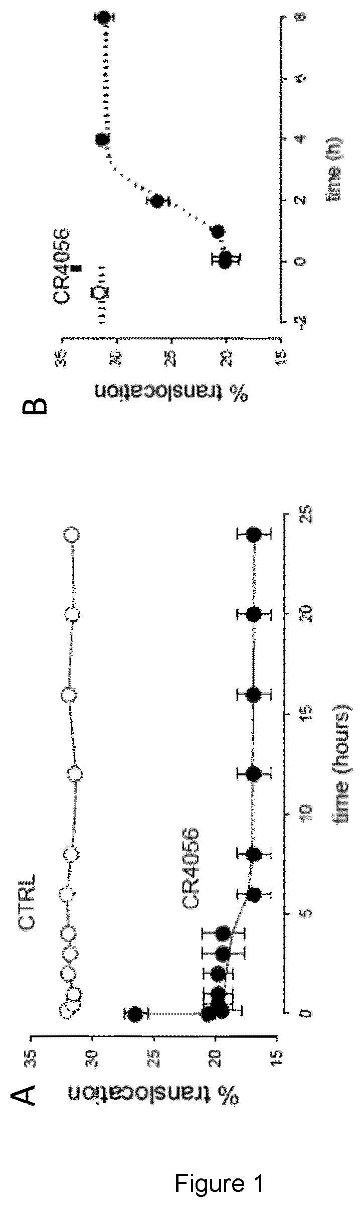 Use of 2-Phenyl-6-(1H-Imidazol-1-YL) Quinazoline for Treating Neurodegenerative Diseases, Preferably Alzheimer's Disease