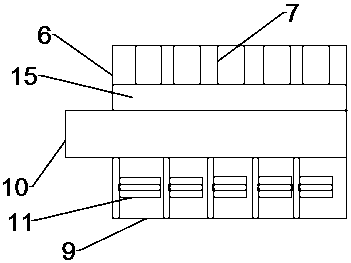 Automatic apple packaging machine