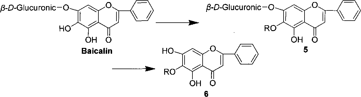 Baicalein derivatives and preparation method and application thereof