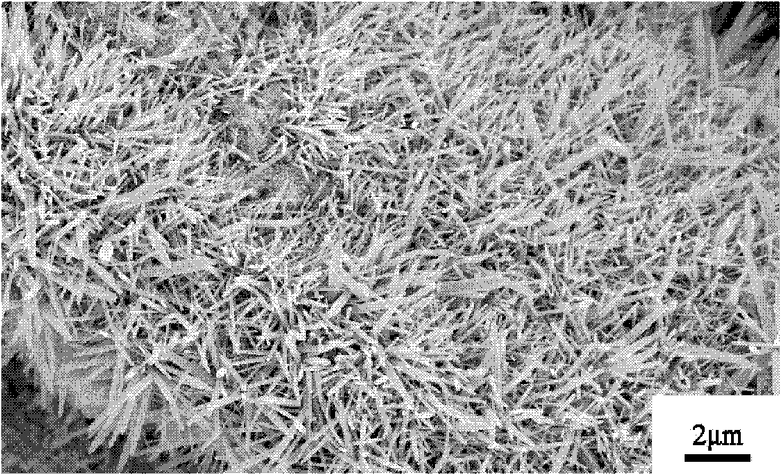 Method for preparing zinc oxide nano-array on flexible substrate at low temperature