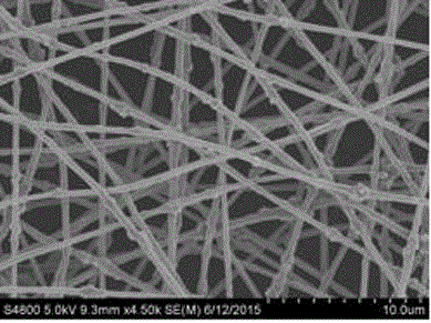 Filter membrane as well as preparation method and application