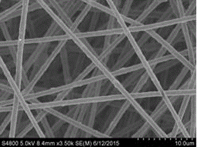 Filter membrane as well as preparation method and application