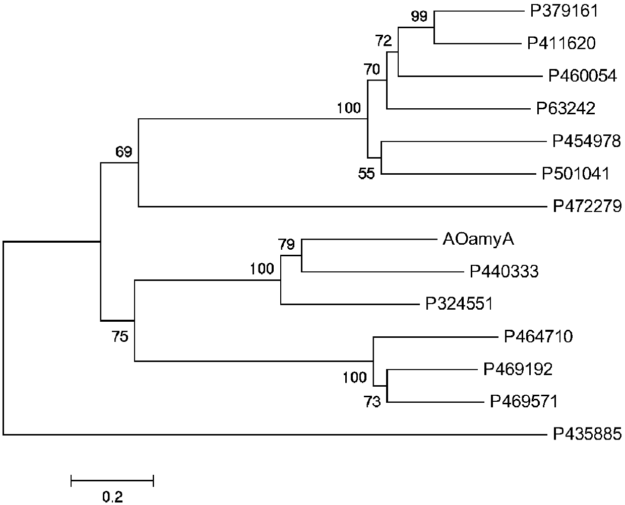 Red monascus alpha-amylase gene as well as preparation method and application thereof