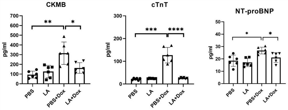 Application of laurazolette polypeptide in preparation of medicine for relieving doxorubicin cardiotoxicity